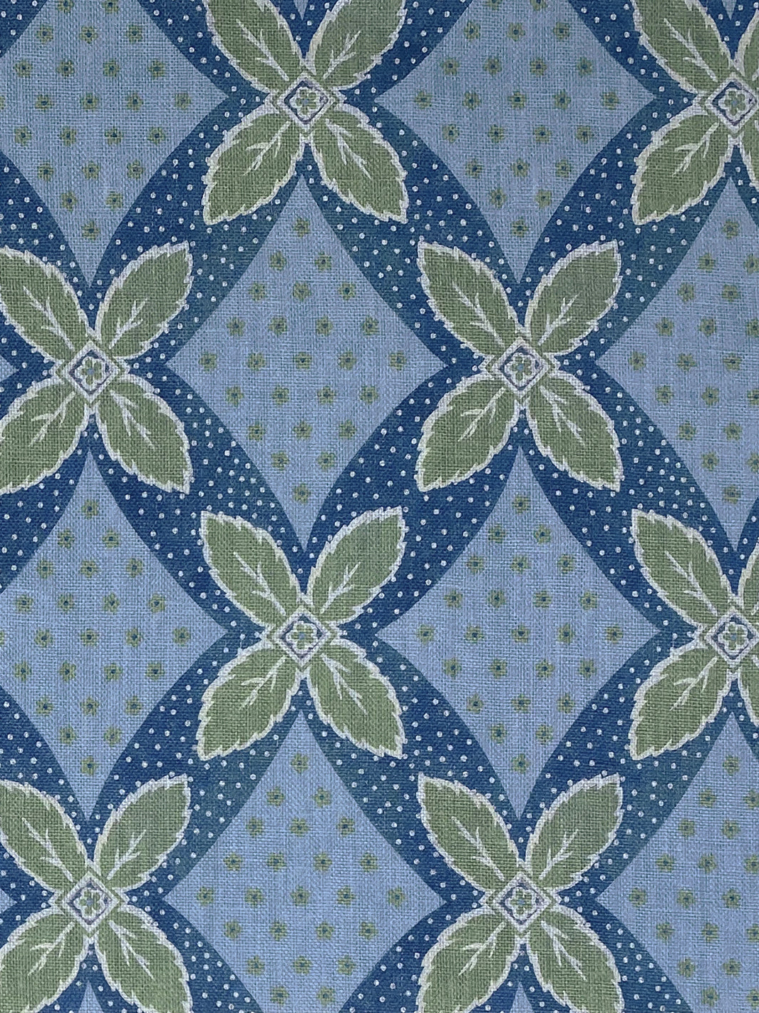 Arthur | NT - Green on Blue