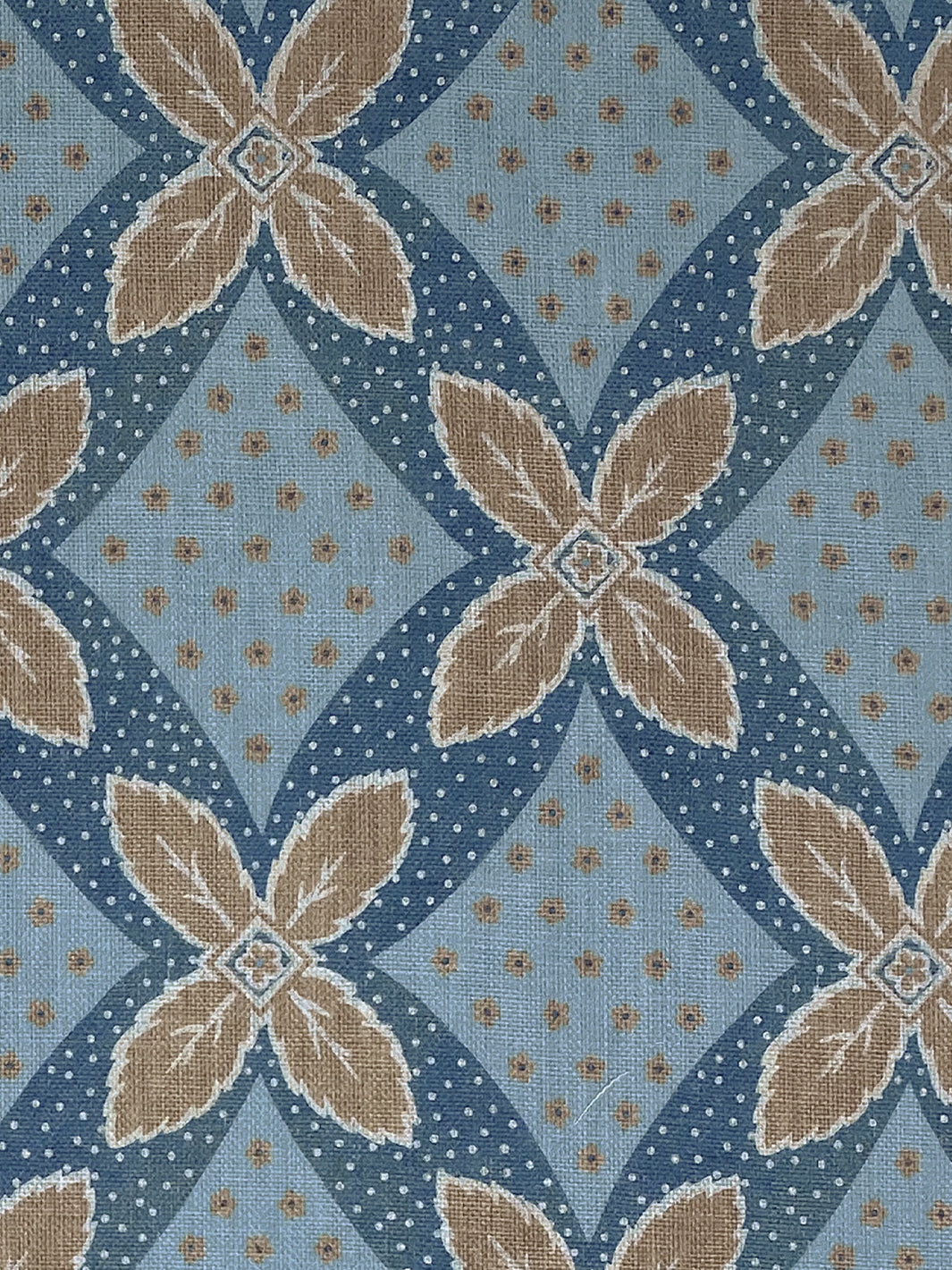 Arthur | NT - Taupe on Blue