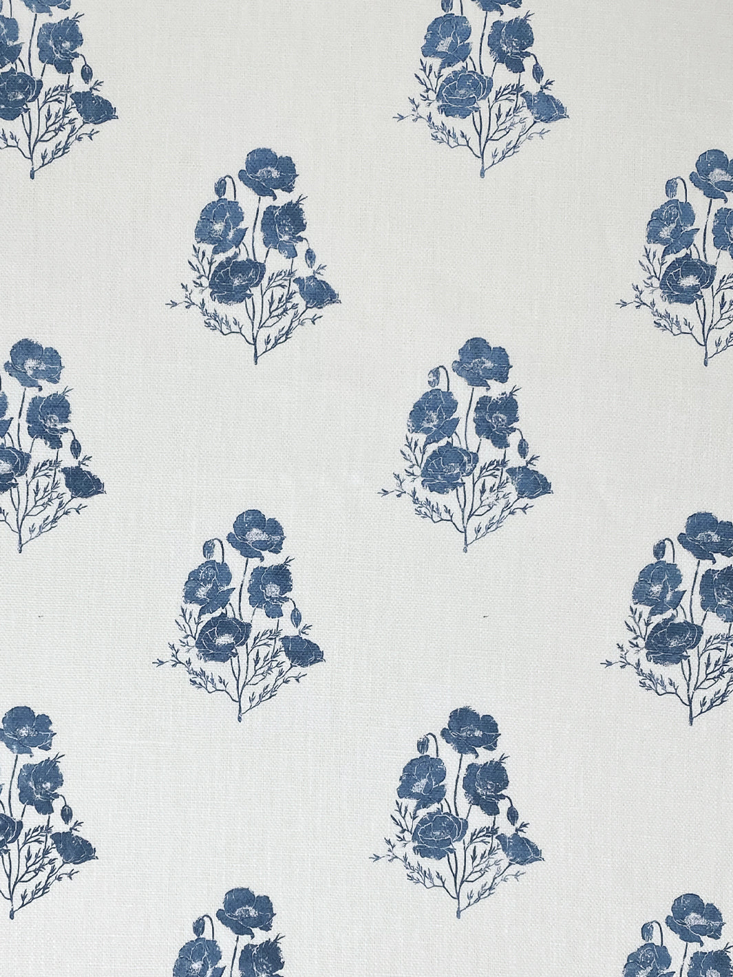 California Poppy | NT - Darker Blue