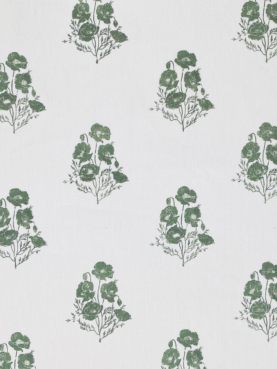 California Poppy | NT - Green