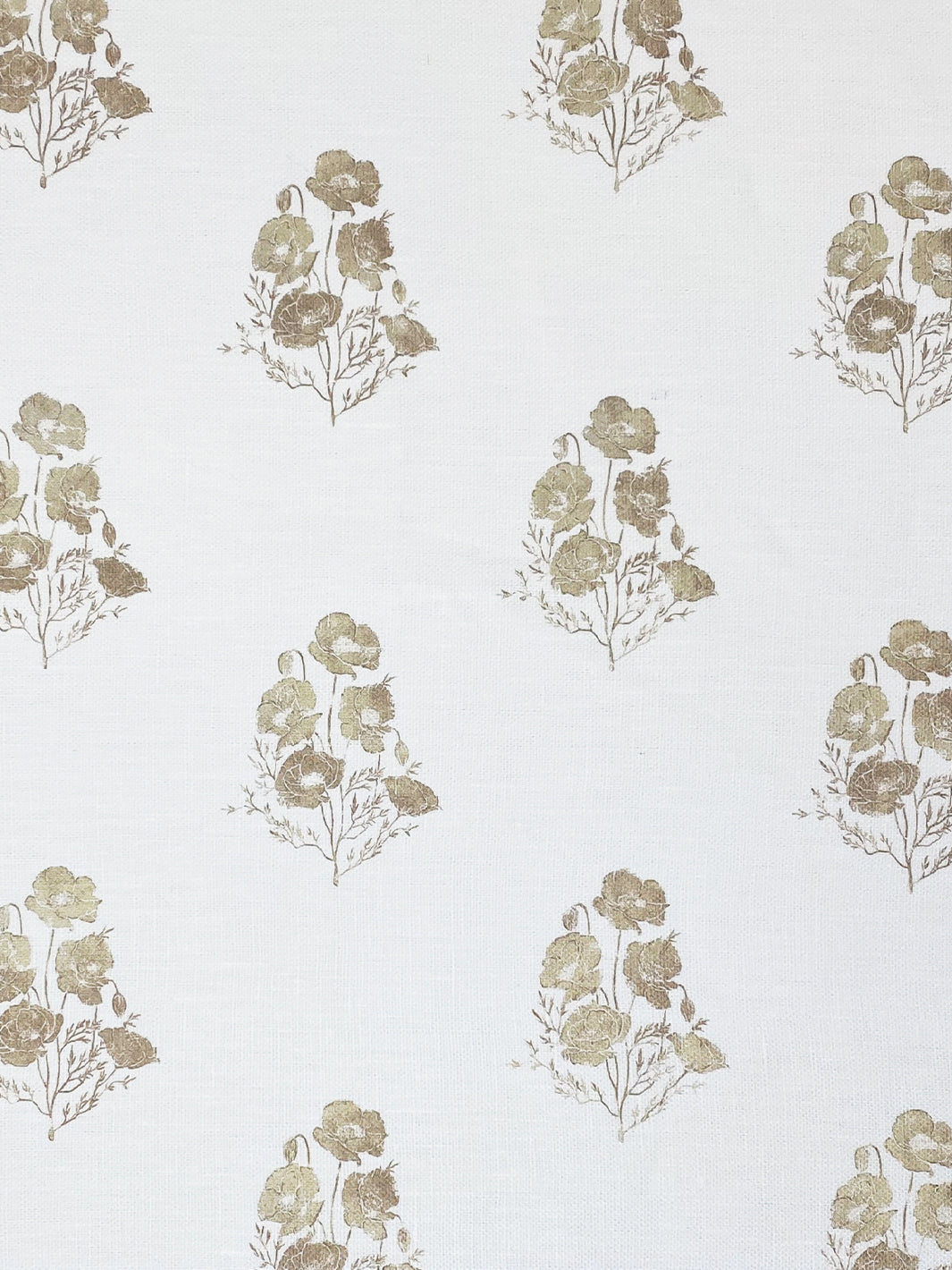 California Poppy | NT - Neutral