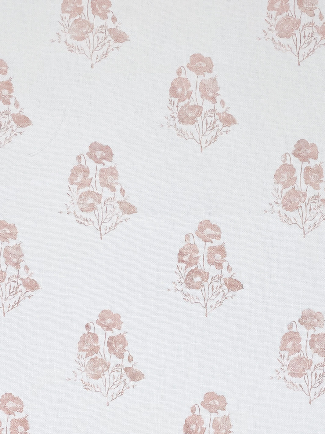 California Poppy | NT - Pink