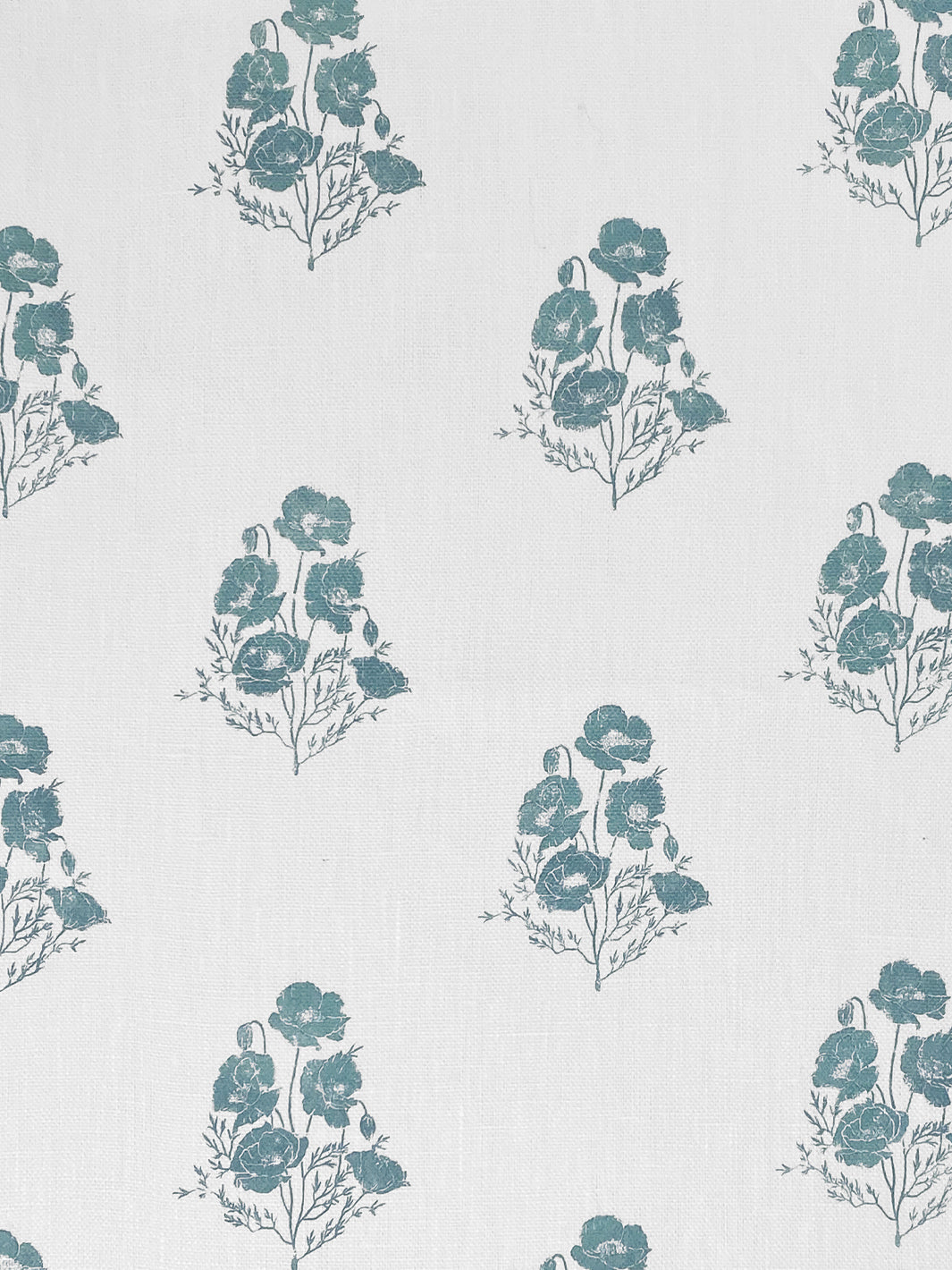 California Poppy | NT - Seafoam