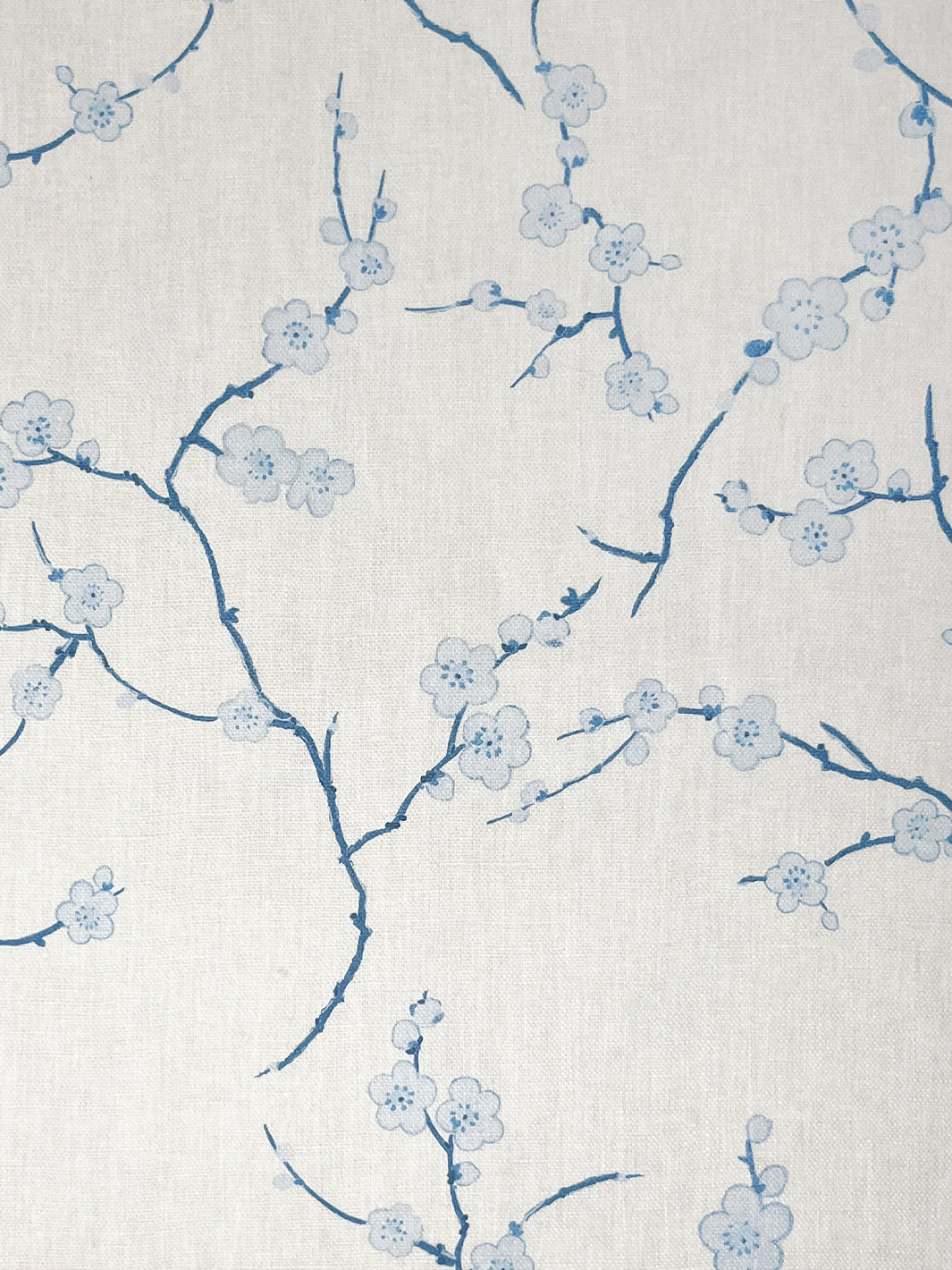 Cherry Blossom | NT - Blue
