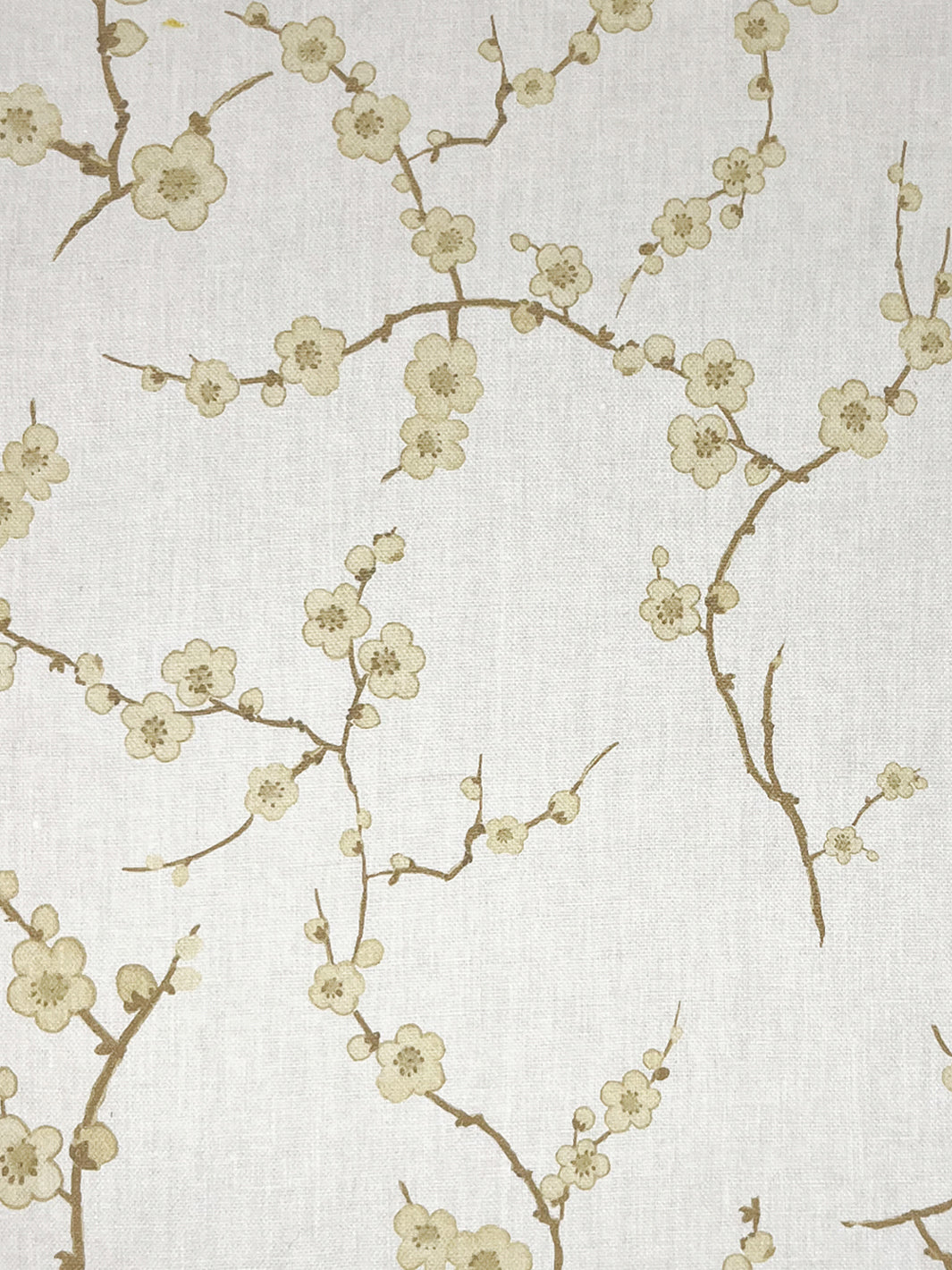 Cherry Blossom | NT - Gold