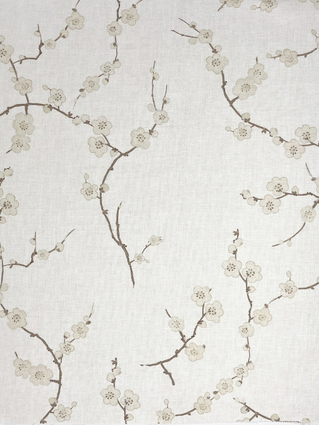Cherry Blossom | NT - Neutral