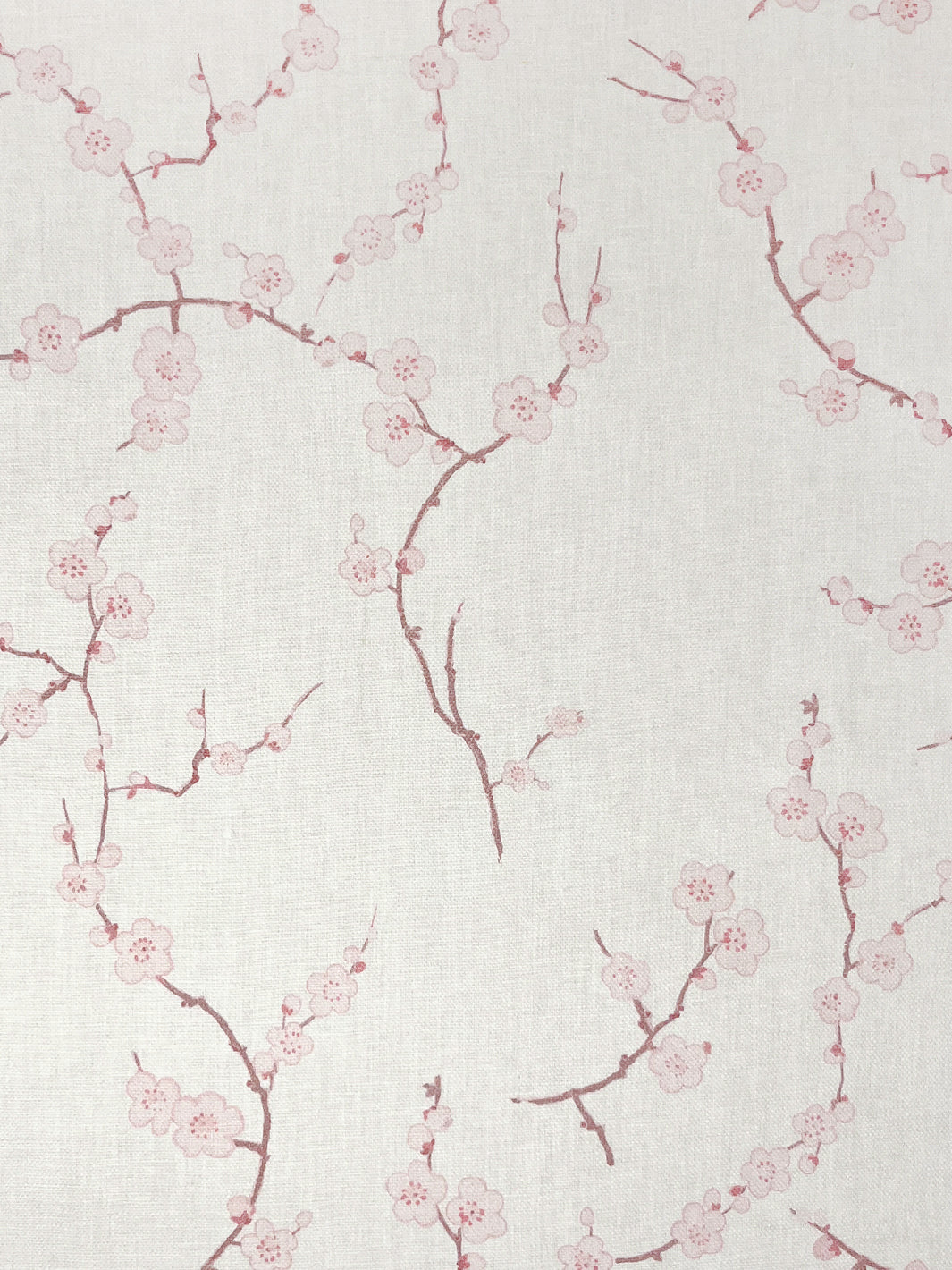 Cherry Blossom | NT - Pink