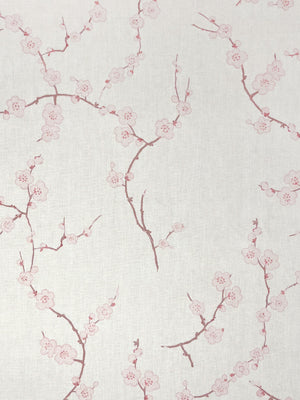 Cherry Blossom | NT