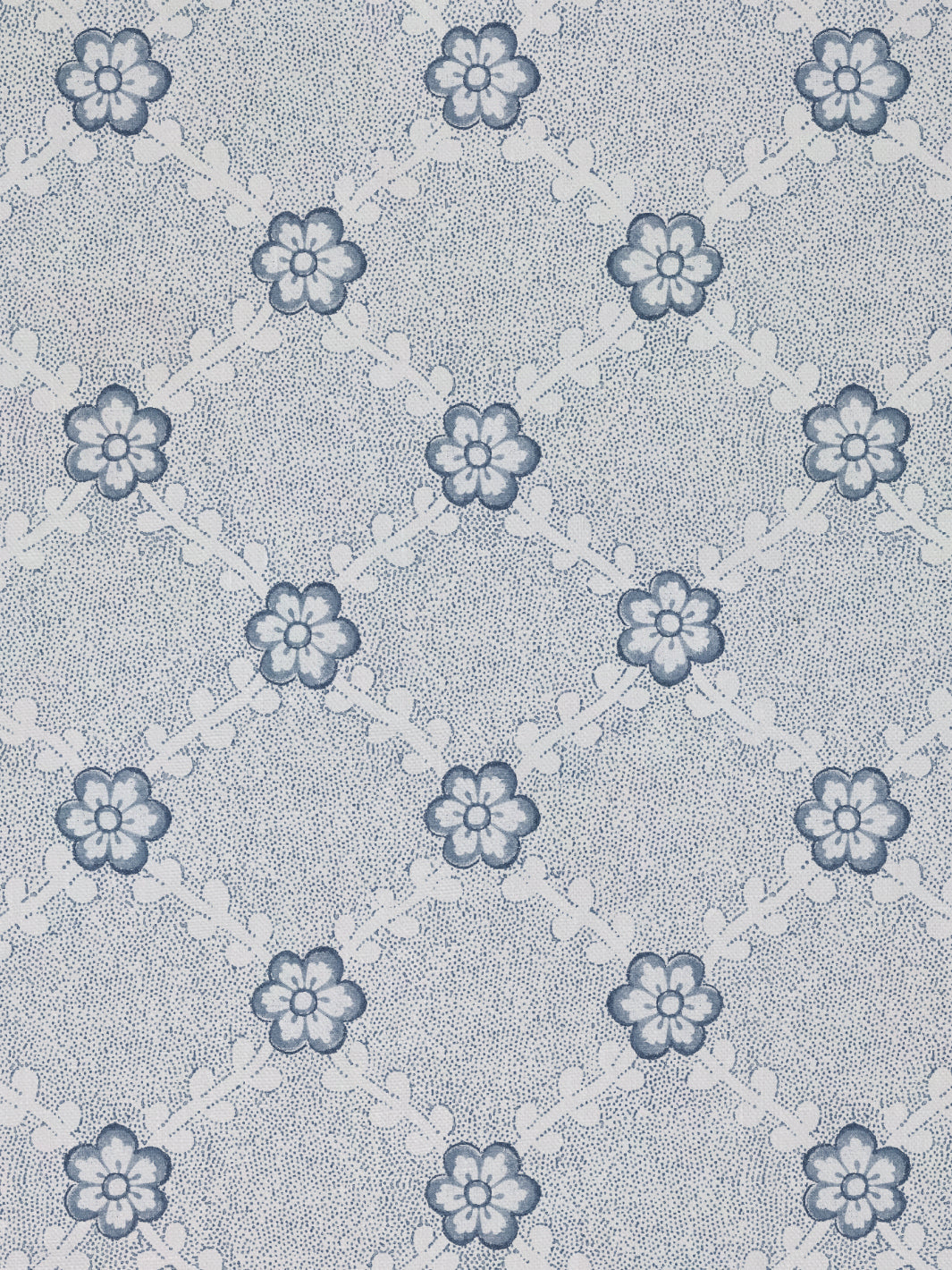 Lucia | NT - Blue