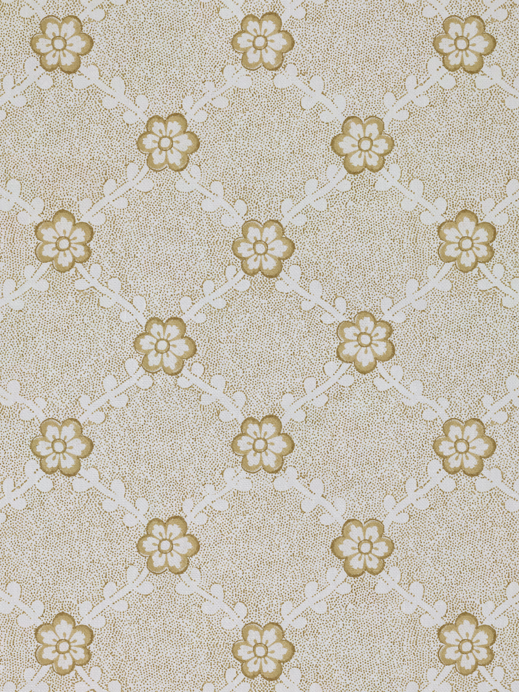 Lucia | NT - Gold