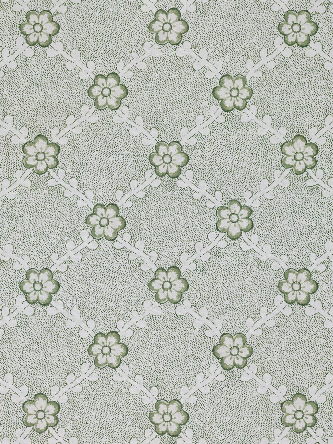 Lucia | NT - Green