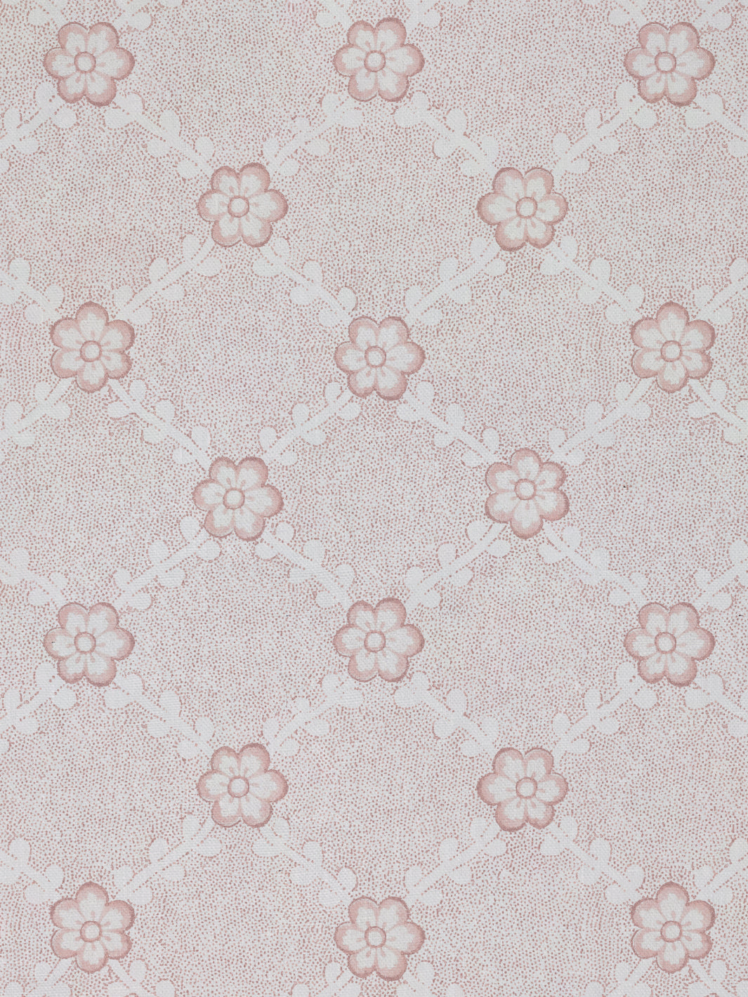 Lucia | NT - Pink
