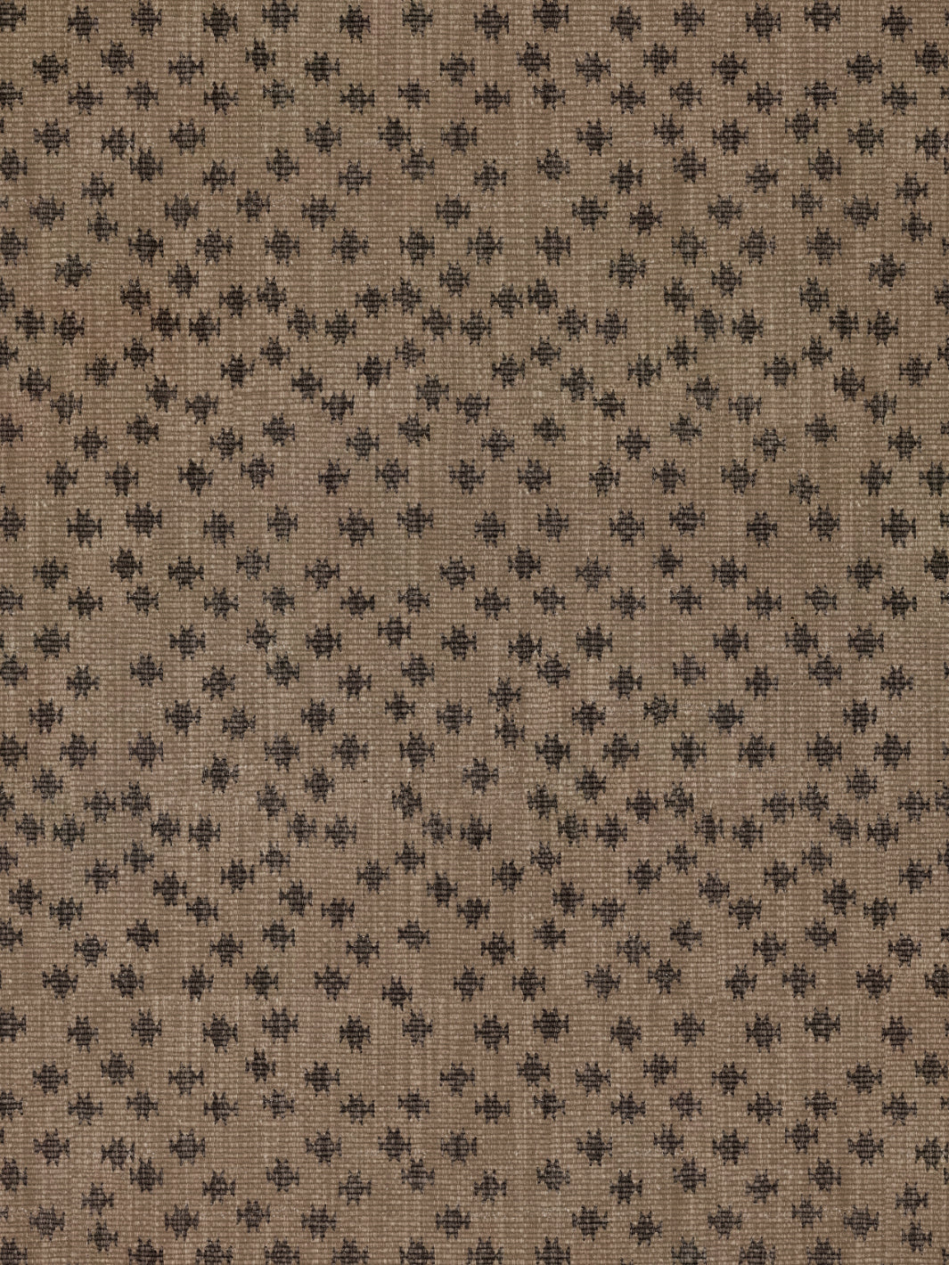 Northstar Star | NT - Brown