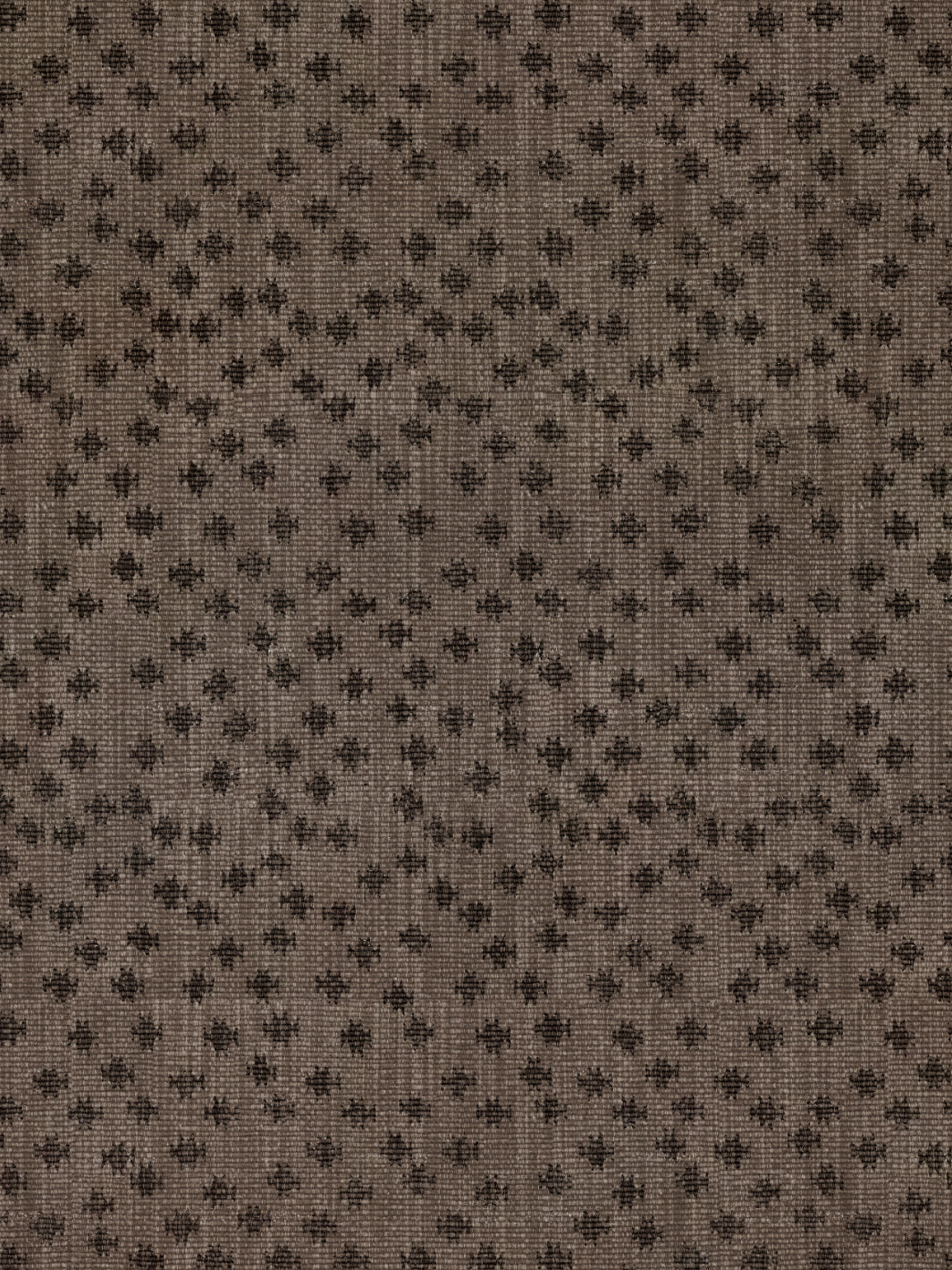 Northstar Star | NT - Dark Brown