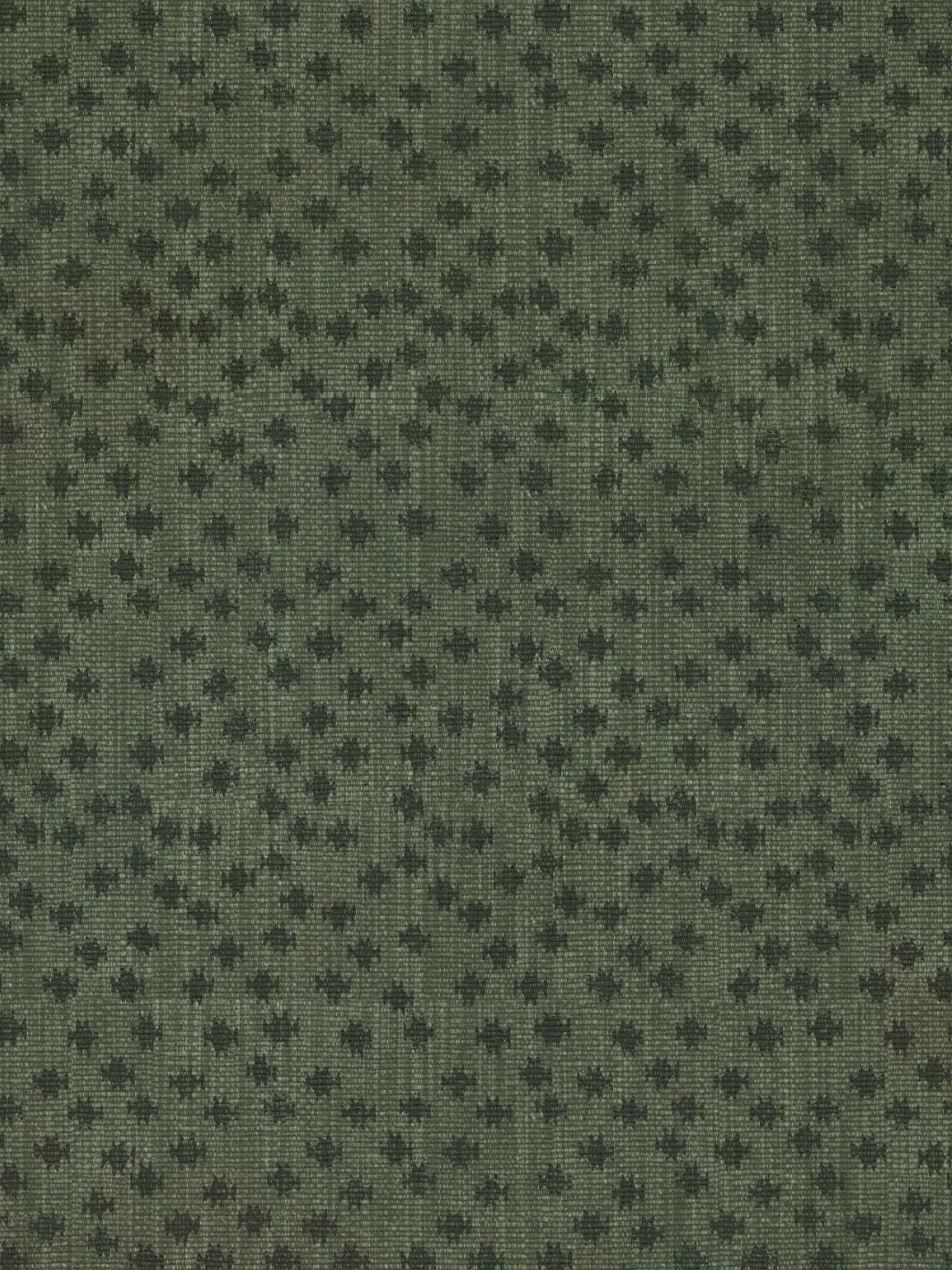 Northstar Star | NT - Moss