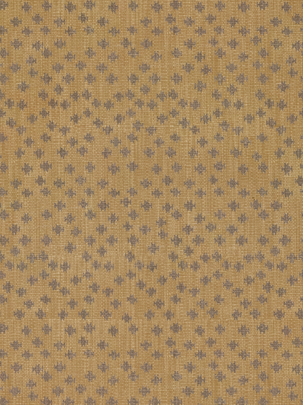 Northstar Star | NT - Mustard