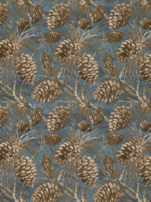 Pinecone | NT