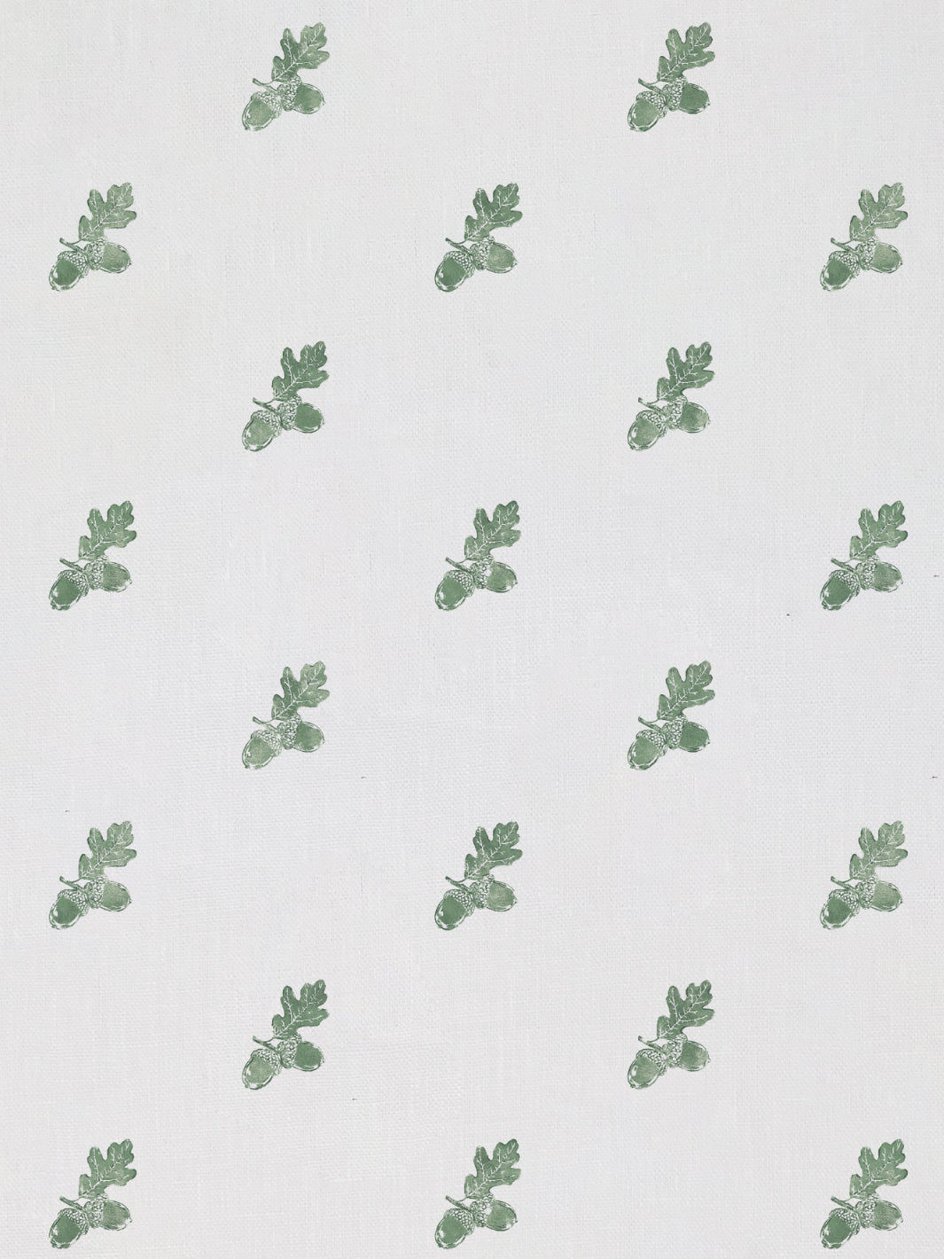 Valley Acorn | NT - Green