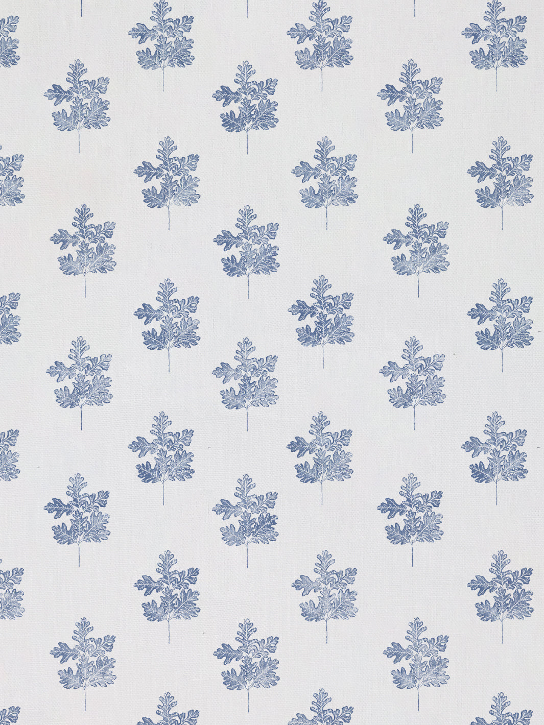 Valley Oak Leaf | NT - Blue