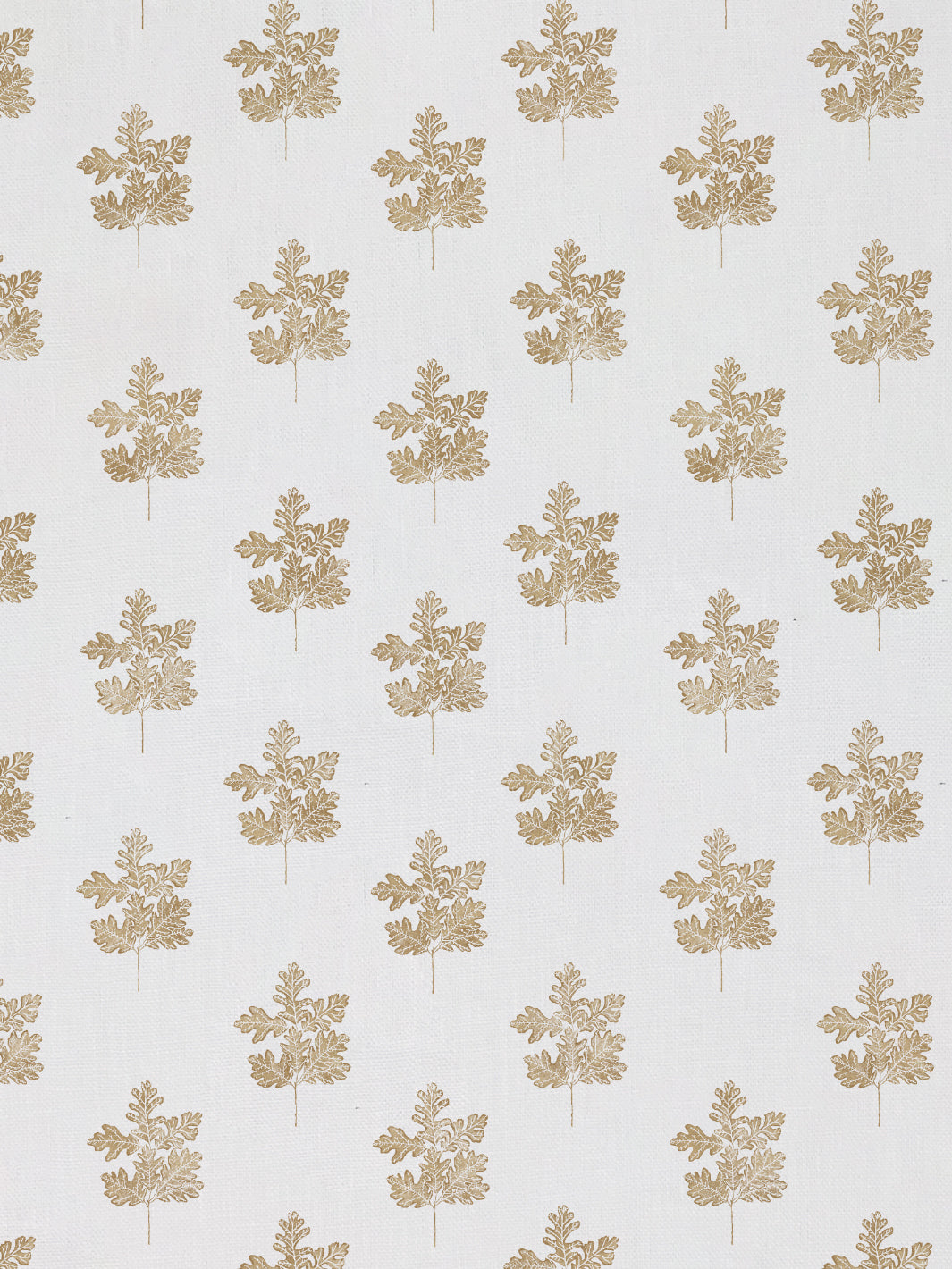 Valley Oak Leaf | NT - Gold