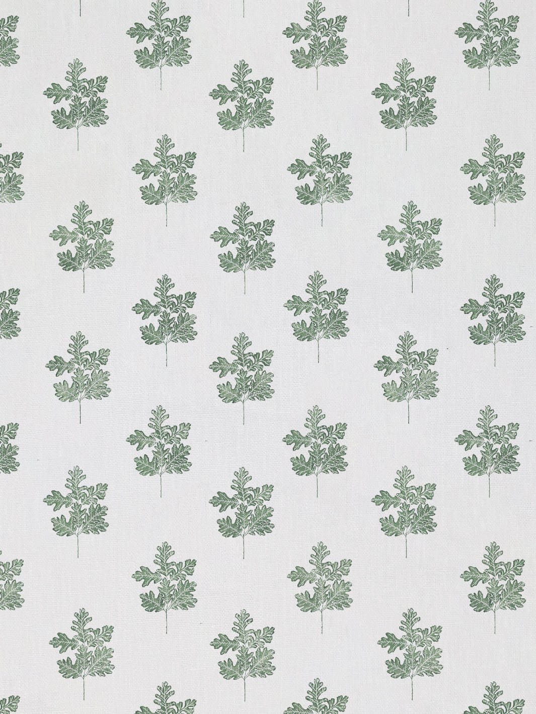 Valley Oak Leaf | NT - Green