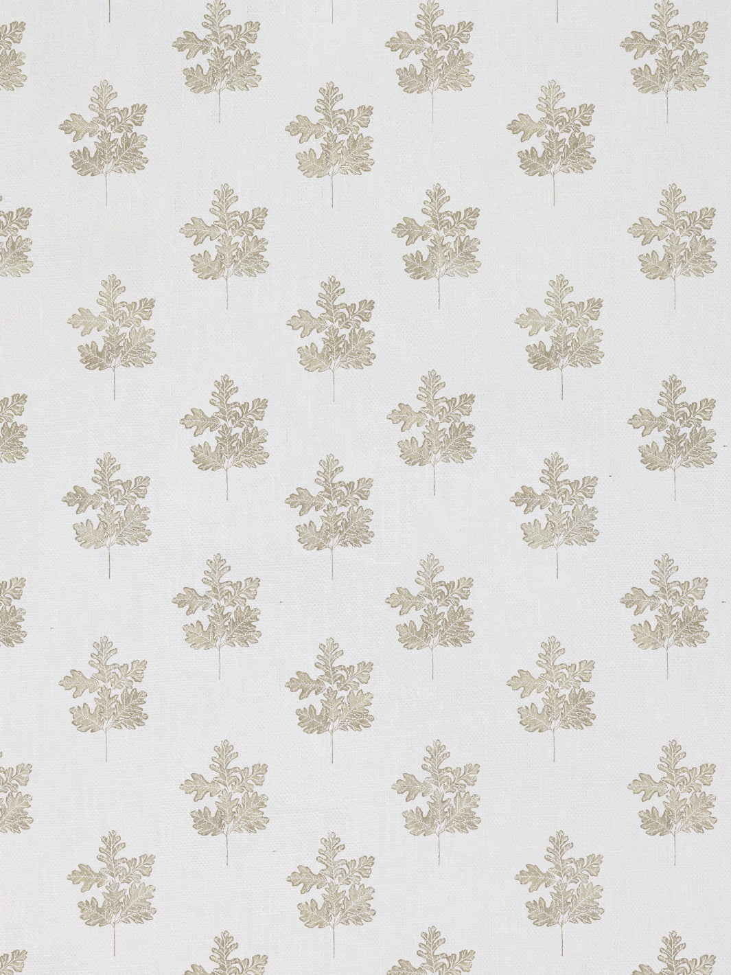 Valley Oak Leaf | NT - Neutral