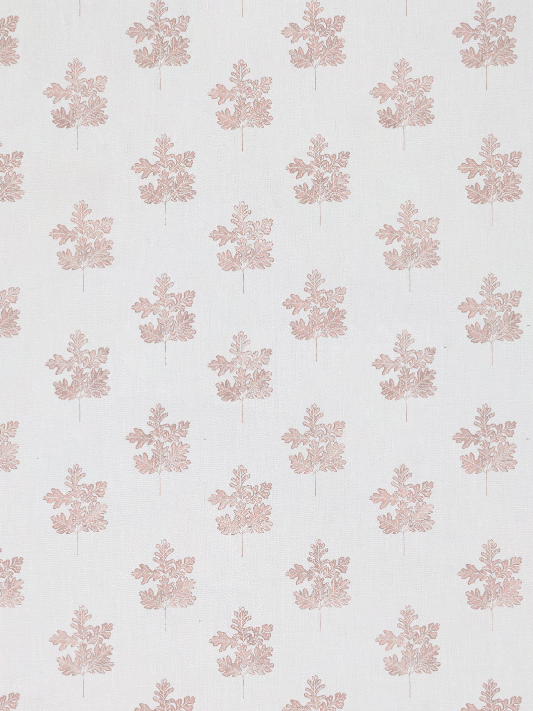 Valley Oak Leaf | NT - Pink