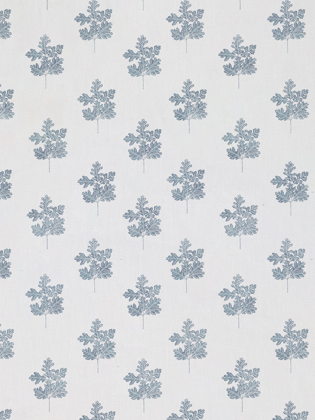 Valley Oak Leaf | NT - Seafoam