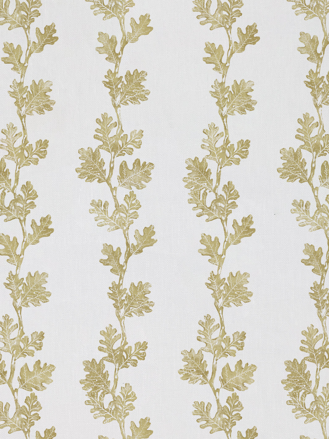 Valley Oak Stripe| NT - Gold