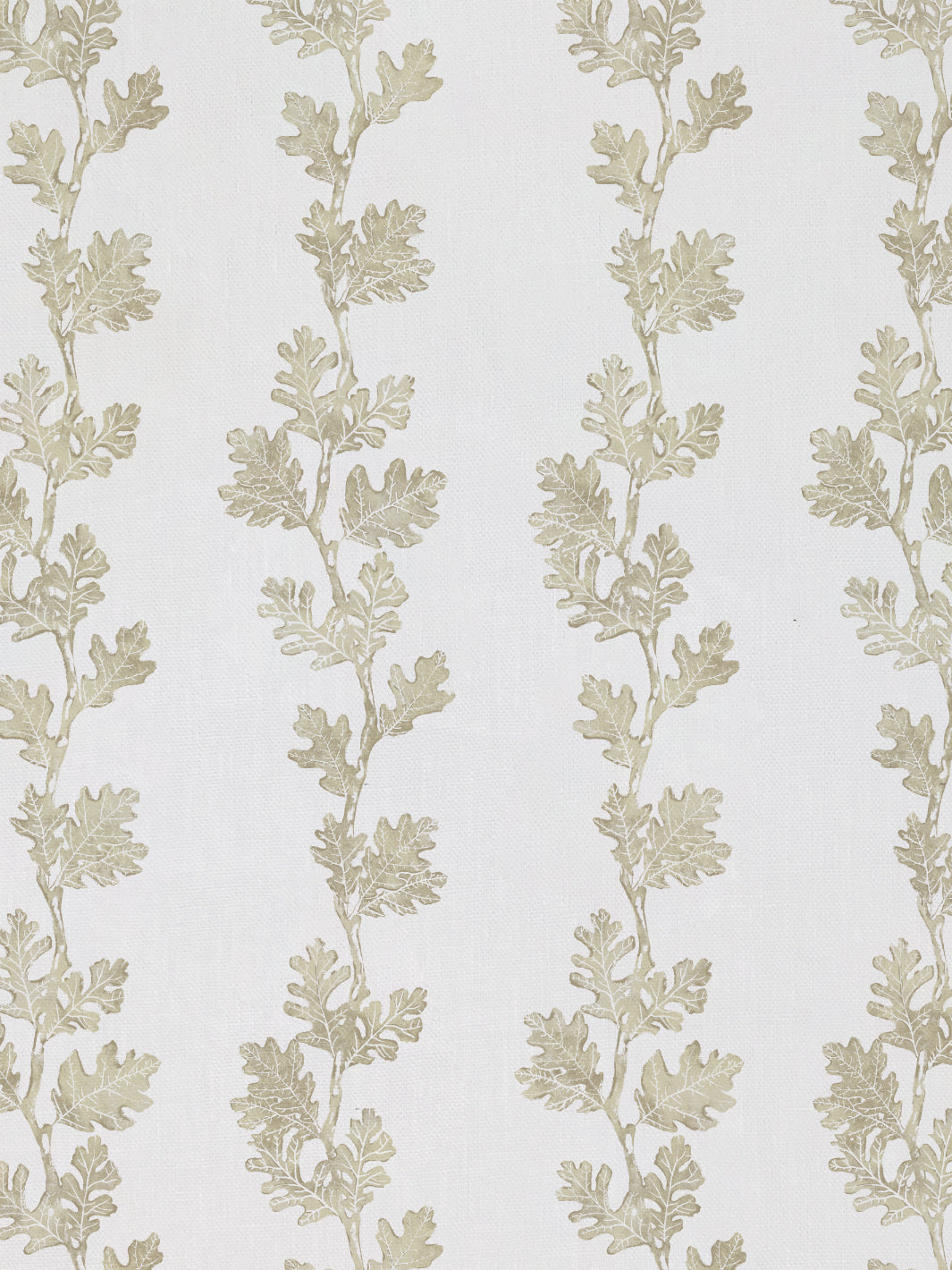 Valley Oak Stripe| NT - Neutral