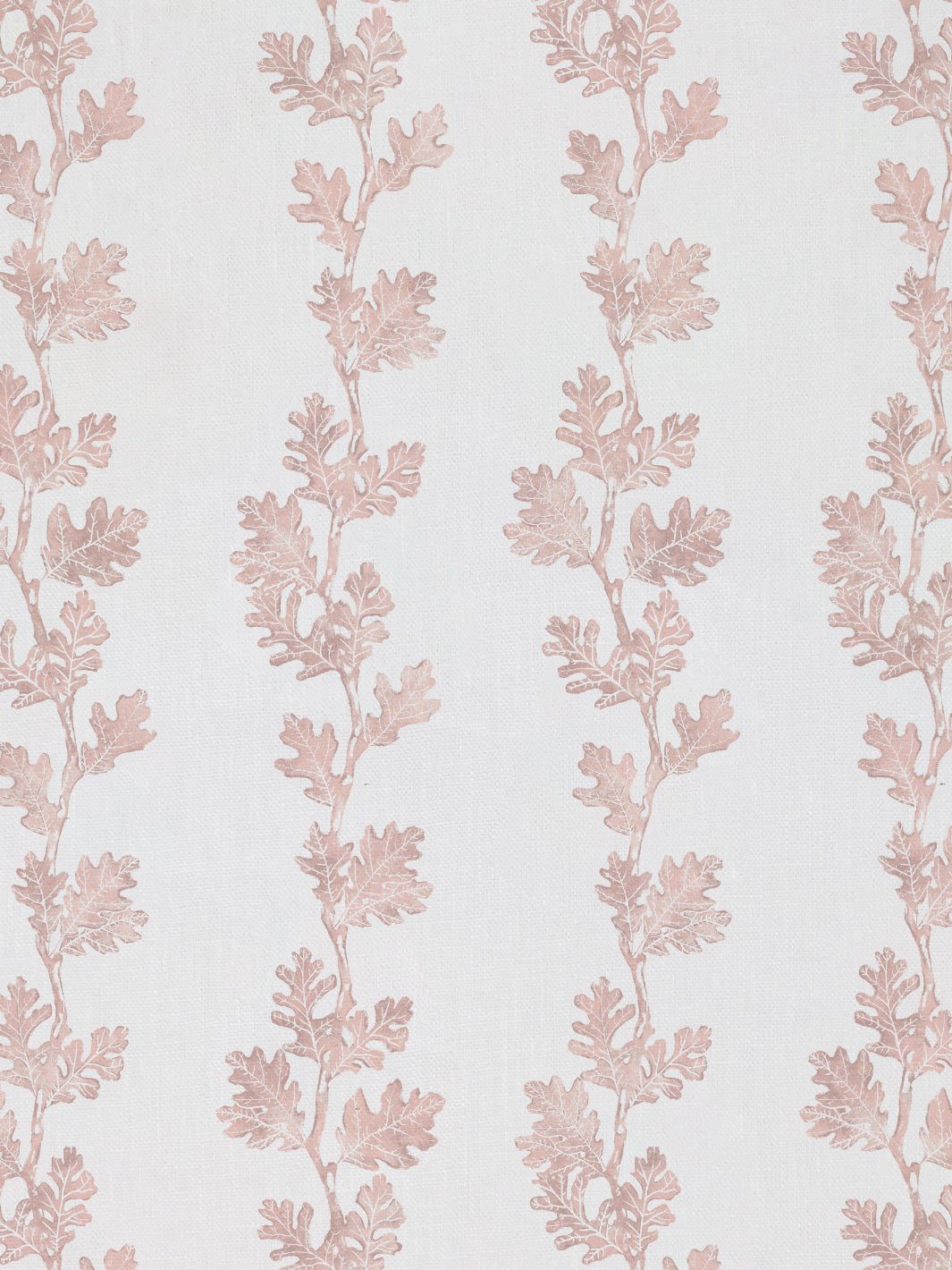 Valley Oak Stripe| NT - Pink