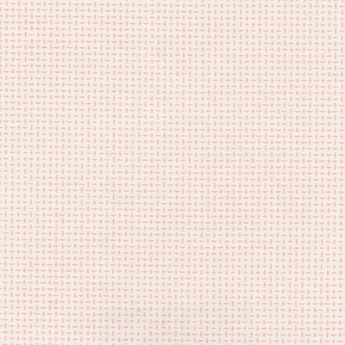 Ardboard WP | NY - Blush