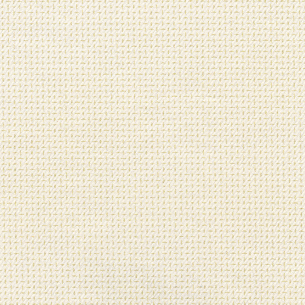 Ardboard WP | NY - Willow