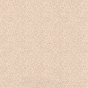 Brindille WP | NY