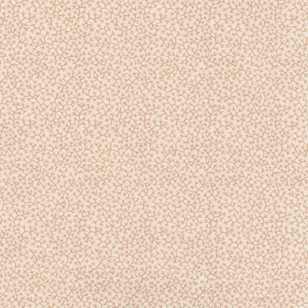 Brindille | NY - Beige