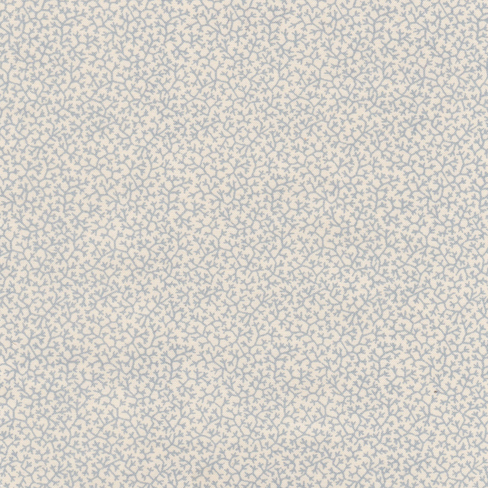 Brindille WP | NY - Dark Blue