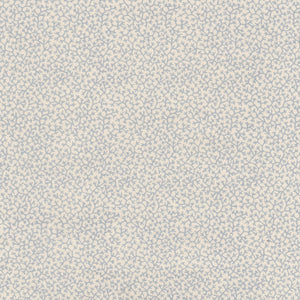 Brindille WP | NY