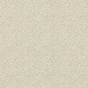 Brindille WP | NY