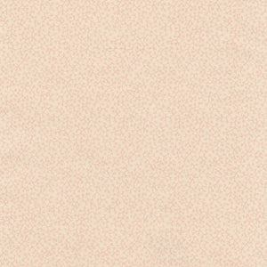 Brindille WP | NY