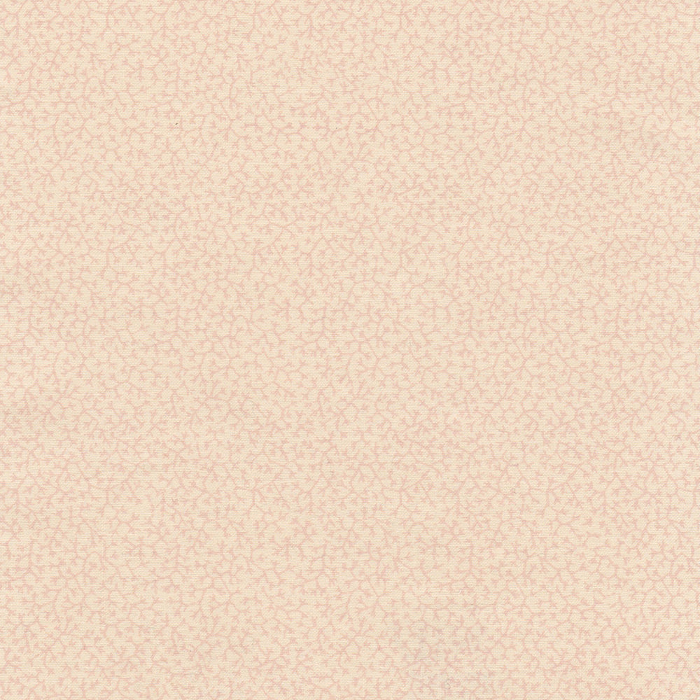 Brindille WP | NY - Pink