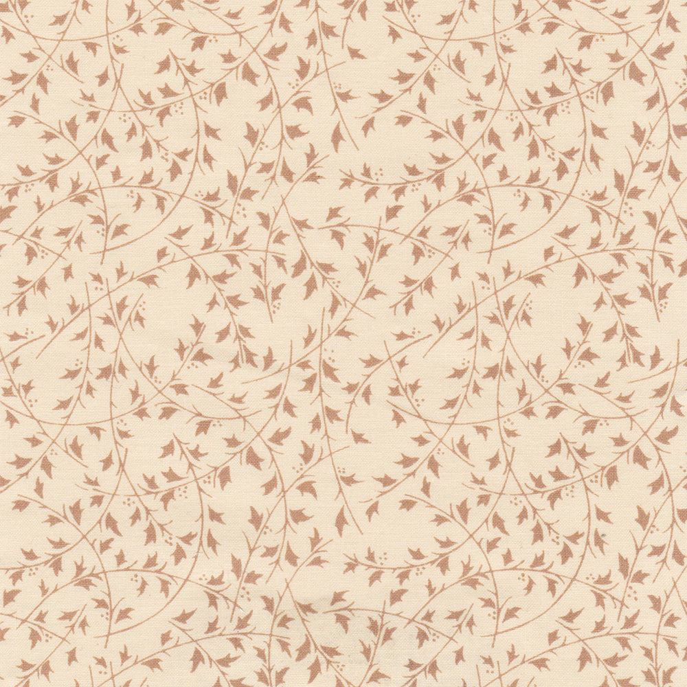 Ilex | NY - Beige
