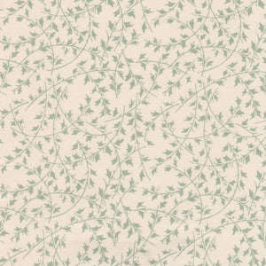 Ilex | NY