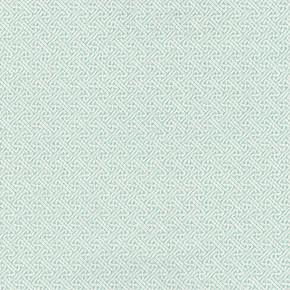 Lattice WP | NY - Mallard