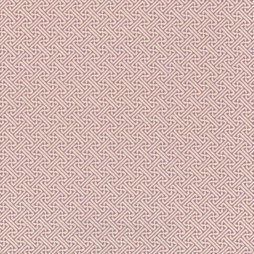 Lattice WP | NY - Viola