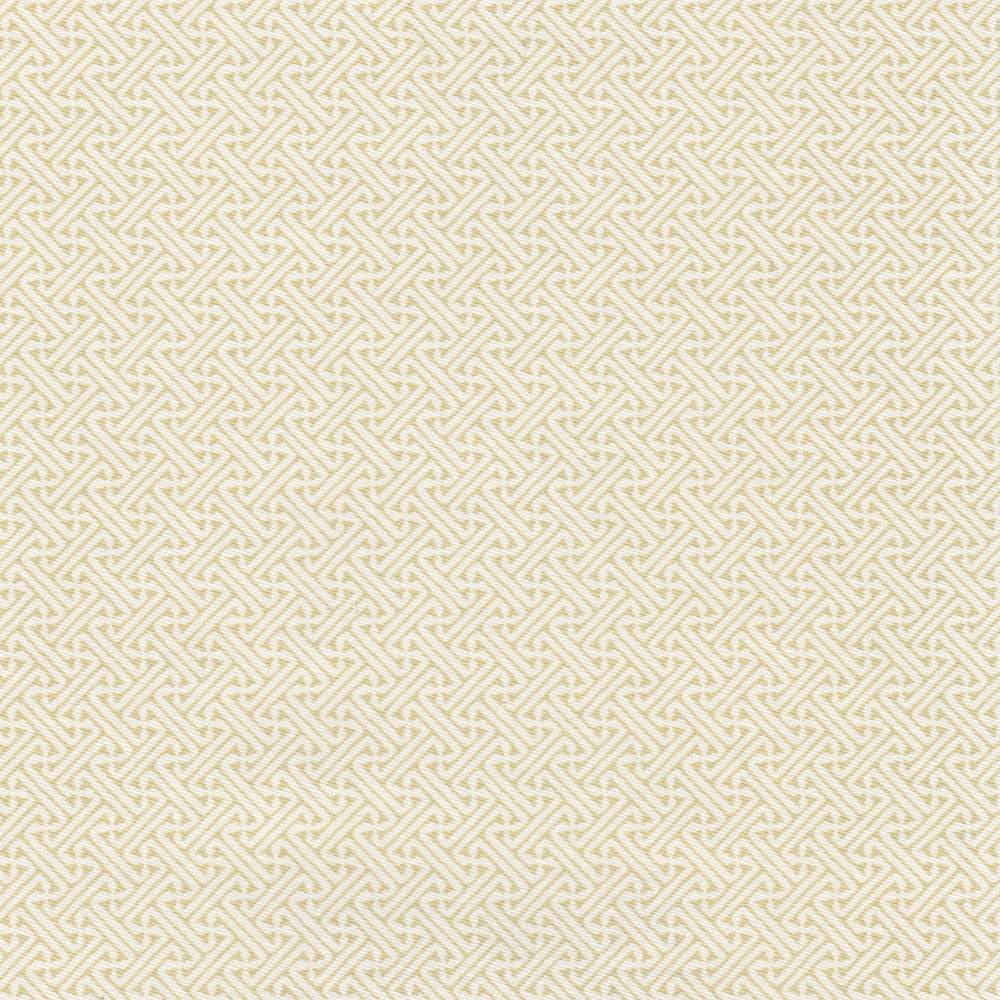 Lattice WP | NY - Willow