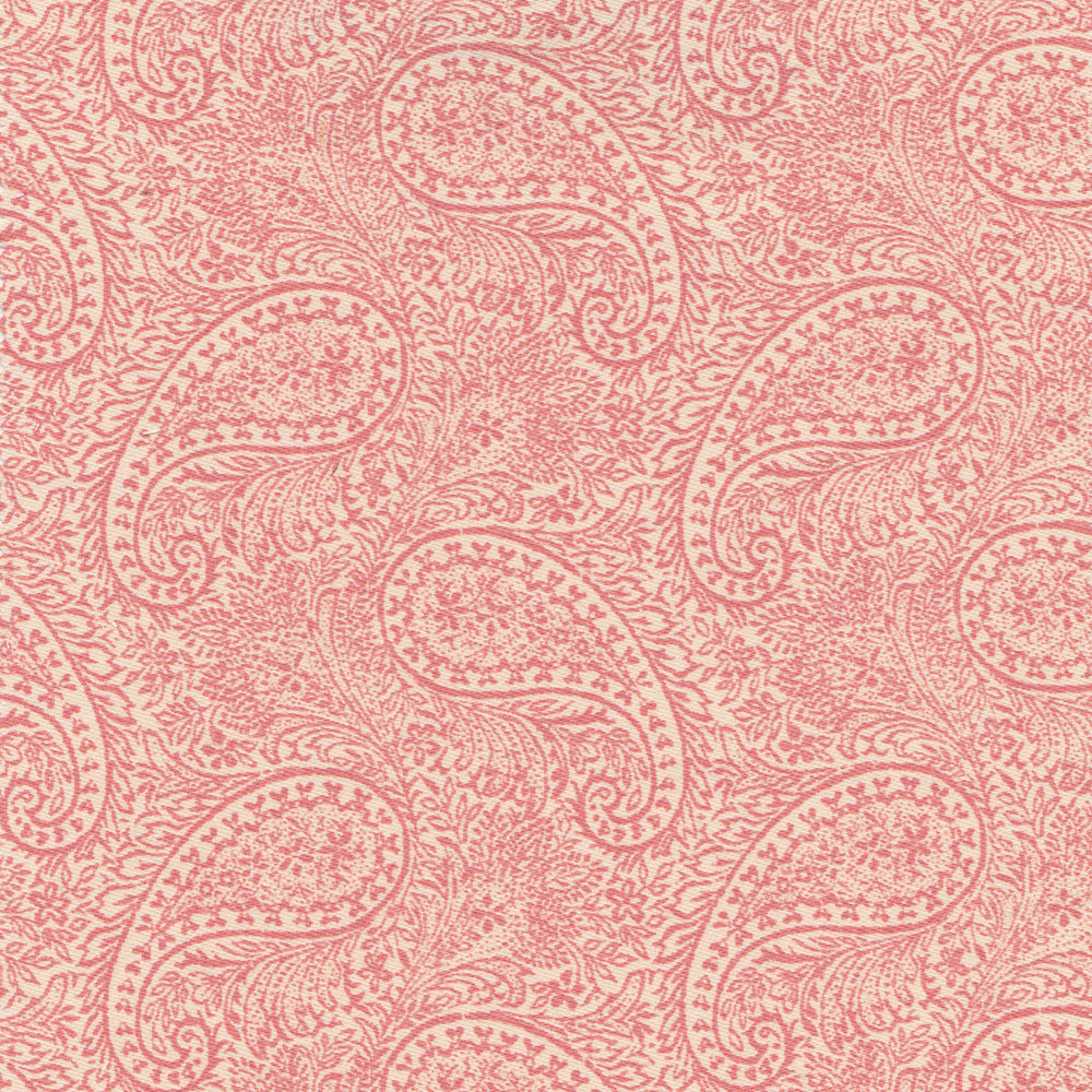 Nadi WP | NY - Coral