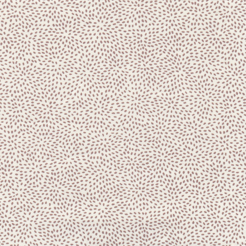 Particles | NY - Cocoa