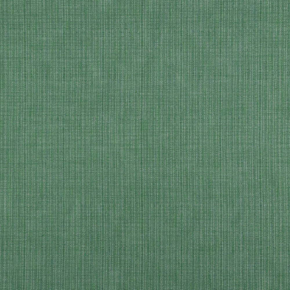 Canvas Woven | PDT - Moss