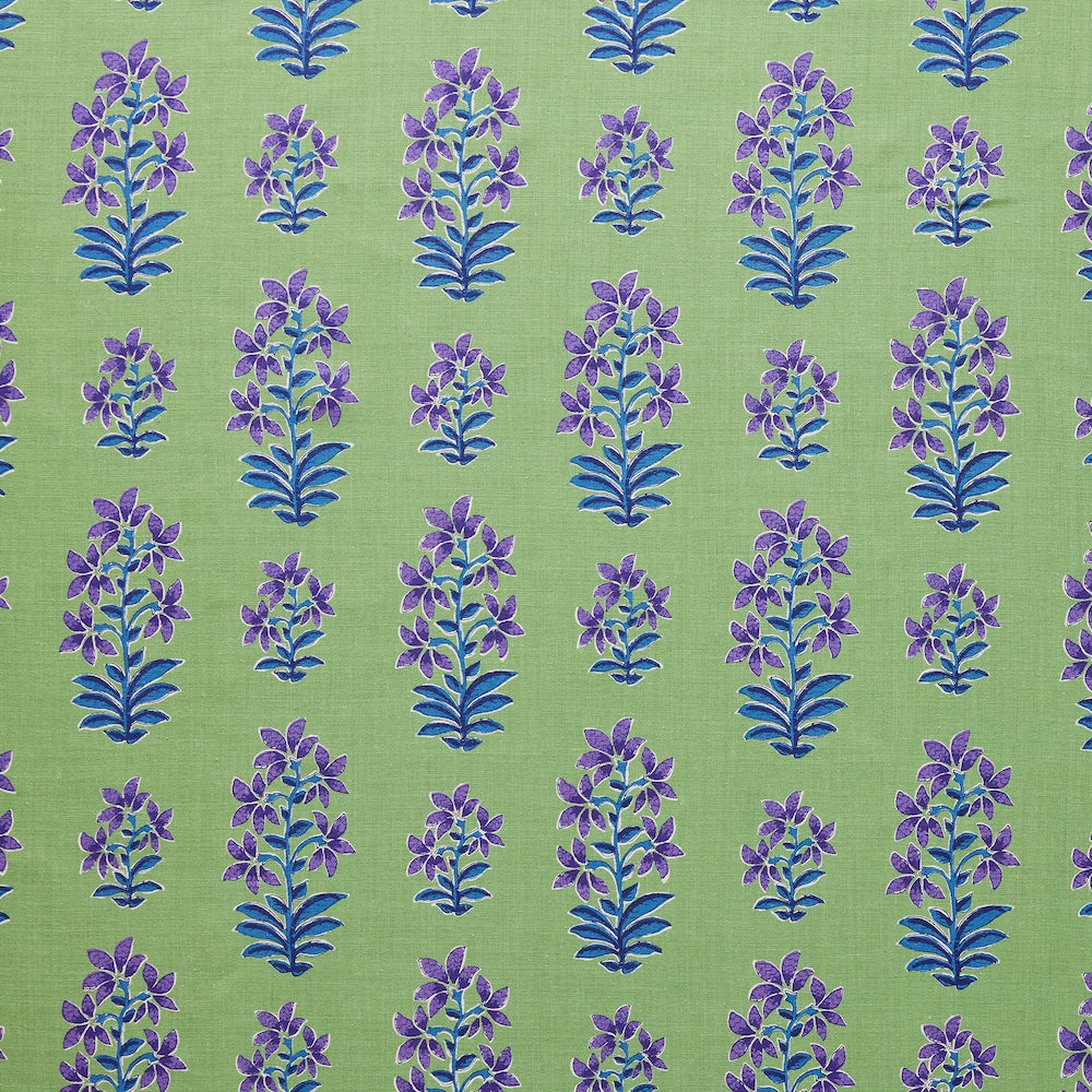 Shani | PDT - Purple/Green