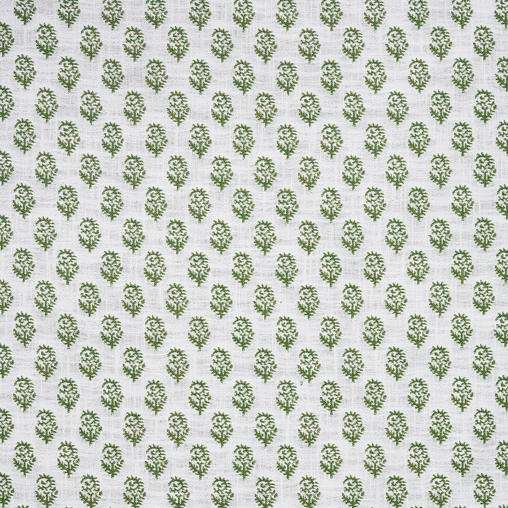 Rajmata Performance | PDT - Pear on White